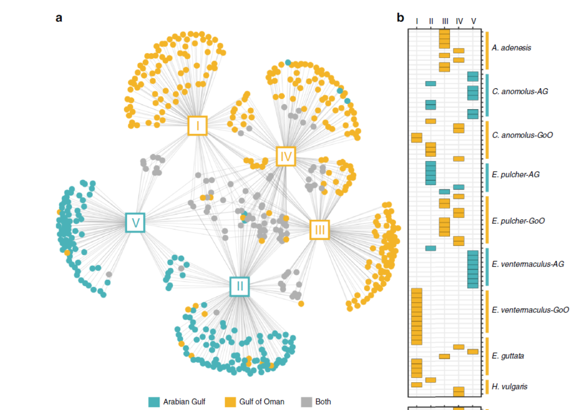 Brandl et al. 2020 Nature Communications figure