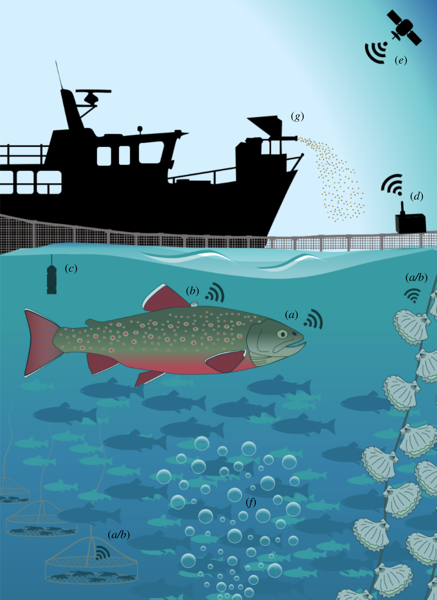 Brijs et al. 2021 Phil Trans figure