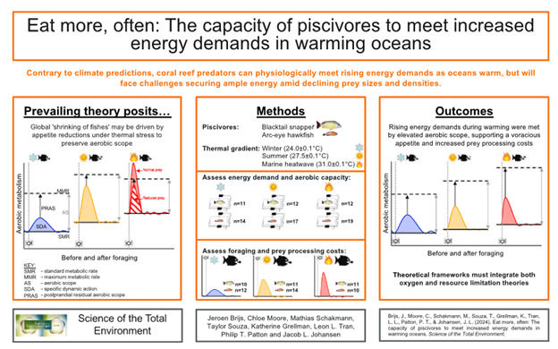 Brijs et al. 2025 — Piscivore energy demands in warming oceans