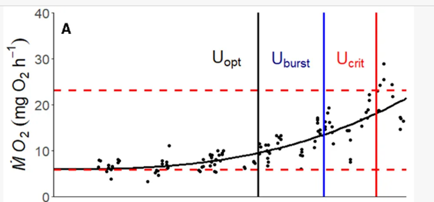 Frank et al. 2024 — Swim tunnel flow rate diagram