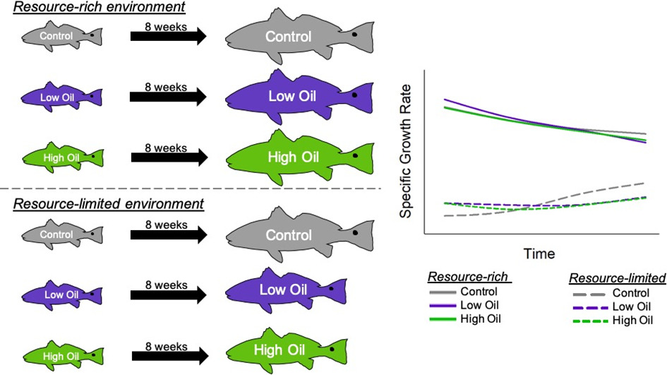 Khursigara et al. 2021 EST figure