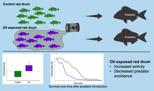 Khursigara et al. 2021 STOTEN figure