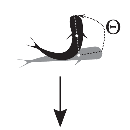 Nadler et al. 2021 — Fish C-start escape response