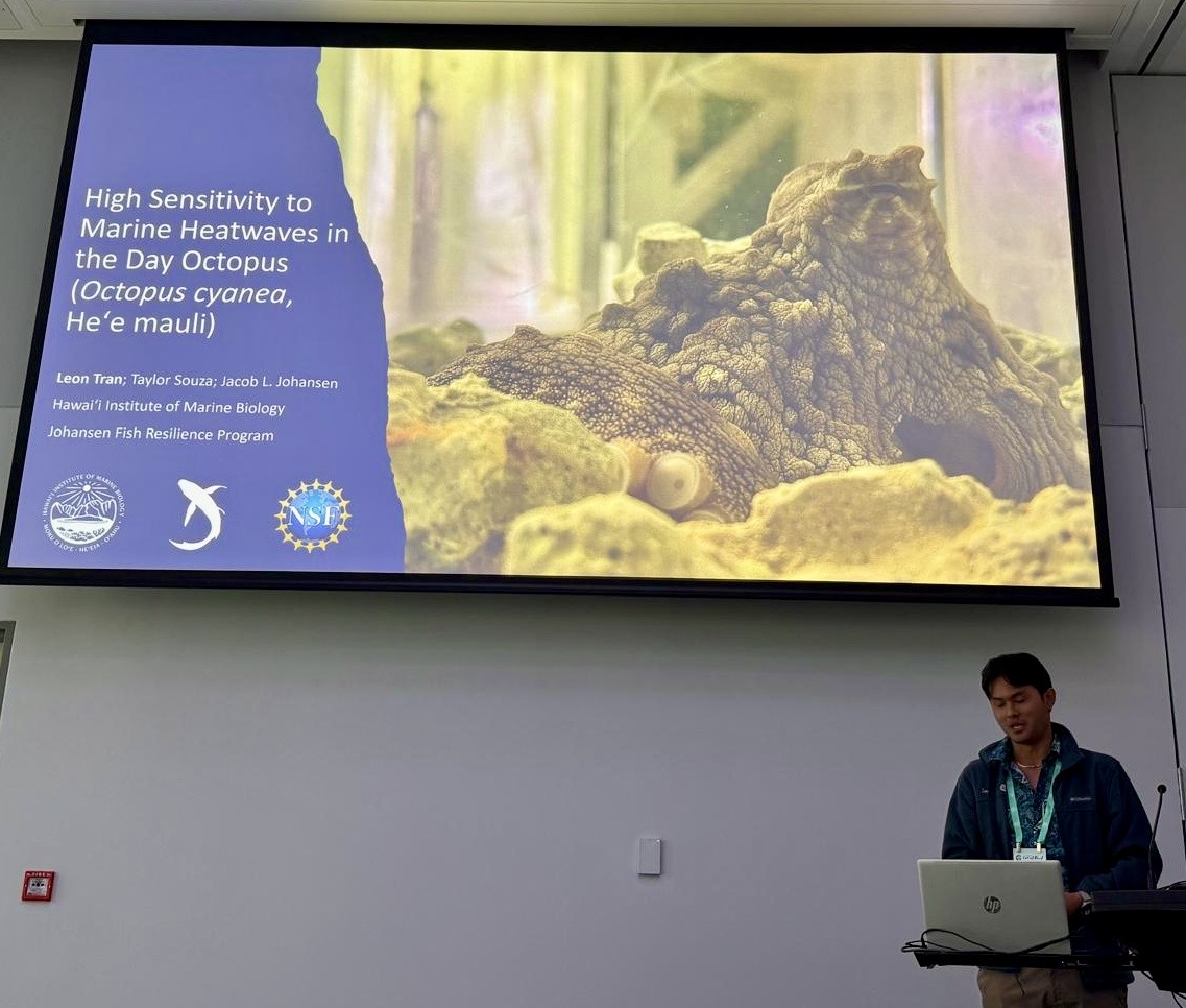 Leon Tran presenting on marine heatwave sensitivity in the day octopus