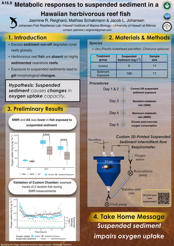 Jasmine's poster at SEB
