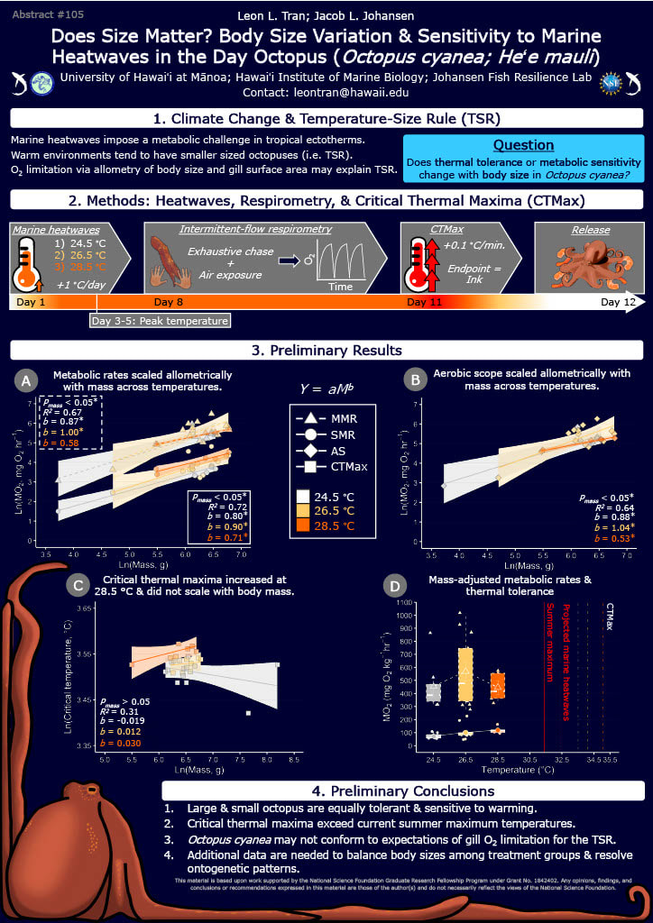 Leon's poster at SEB