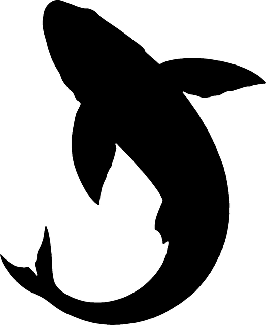 Beta software tools