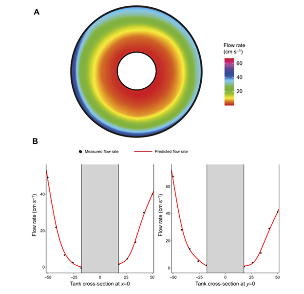 Tiddy et al. 2025 — Respirometry MO2 versus swimming speed