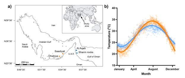 Vaughan et al. 2025 — Arabian Gulf study area map and seasonal temperature data